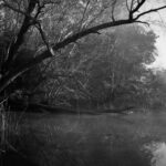 4_DSC0249-4