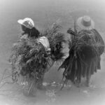 trabajadoras-IMG_7247.jpg-Cuenca-Ecuador-2012-2013.jpg-2.jpg-bw