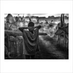 _D5A9409 -3-3 vale vale