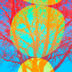 Bogdan Mihai_Fluorescent Shadows