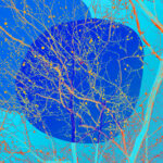 Bogdan Mihai_Fragmented Echoes