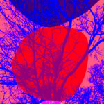 Bogdan Mihai_Unstable Symmetry