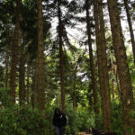 CastilloLourdes - Umbral (2)