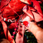 DSC09102-1