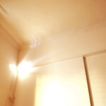 Luz