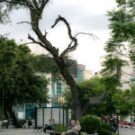 Quinteros Lucas - Fotografía Perdida 12L