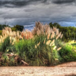 ZALTZ MARIELA RIO MÍO HDR 2